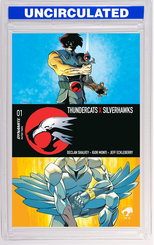 Thundercats X Silverhawks #1 CVR A Declan Shalvey