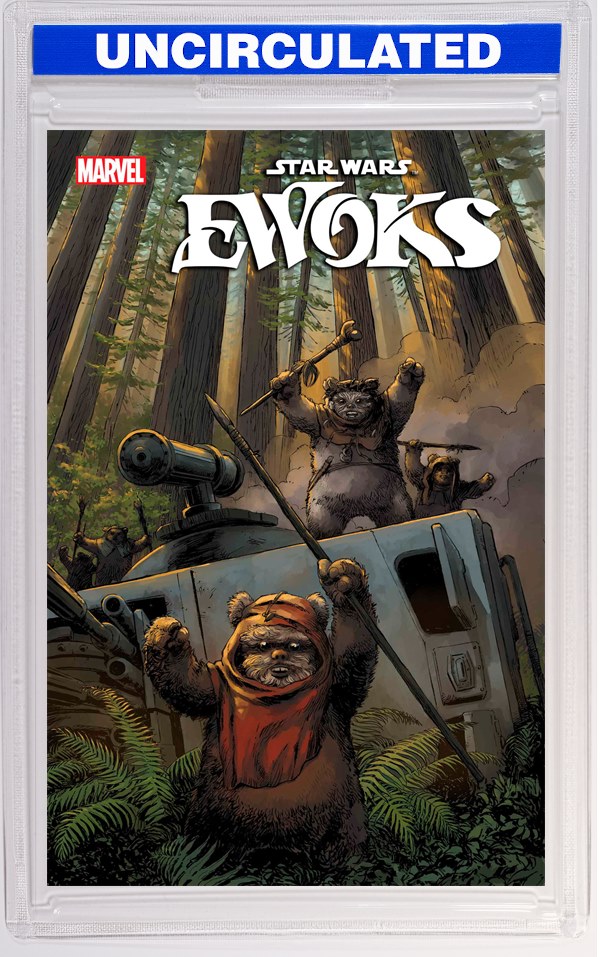 Star Wars: Ewoks #2 Dave Wachter Variant