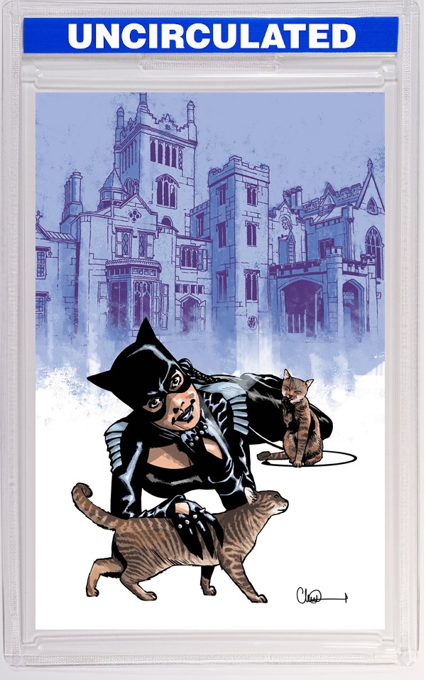 Catwoman #91 CVR C Charlie Adlard Card Stock VAR (Batman Bad Seeds)