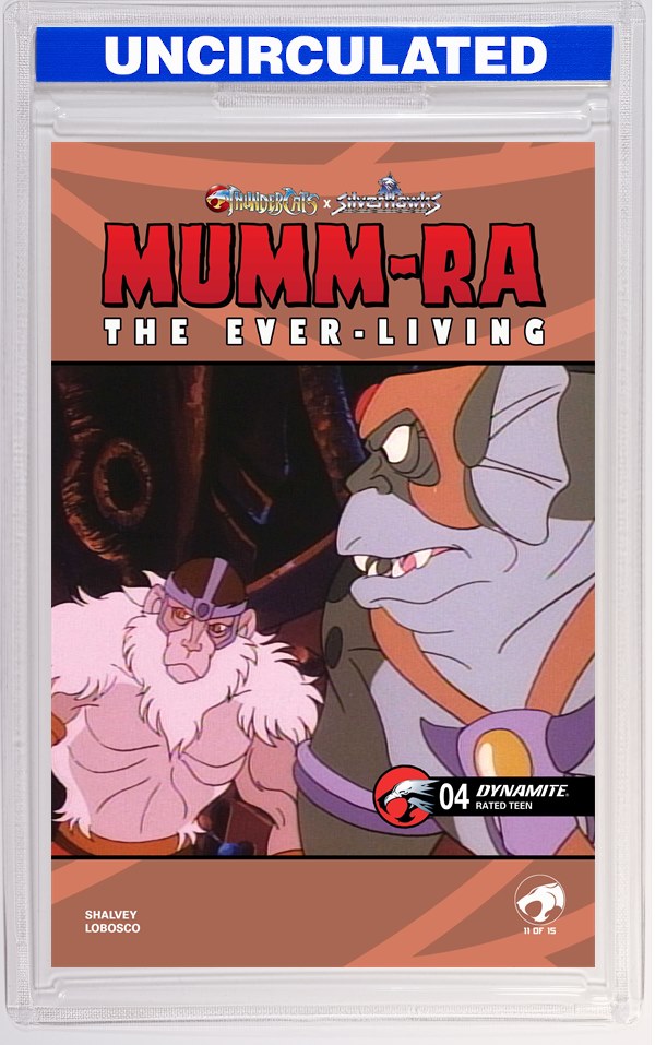 Mumm-Ra The Ever Living #4 CVR E Animation Art VAR