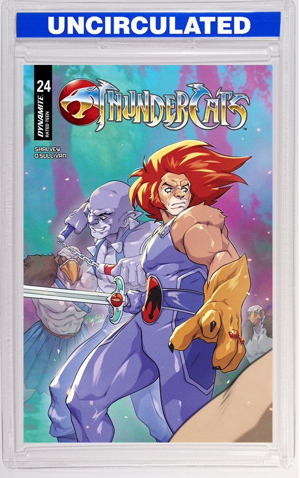 Thundercats #24 CVR D Emilio Pilliu VAR