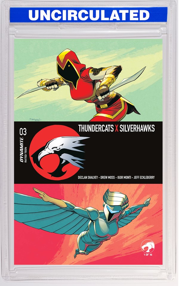 Thundercats X Silverhawks #3 CVR A Declan Shalvey