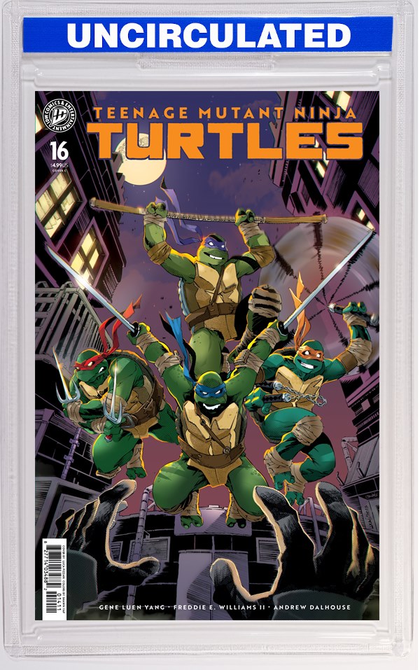 Teenage Mutant Ninja Turtles #16 Variant C (Pizzari)