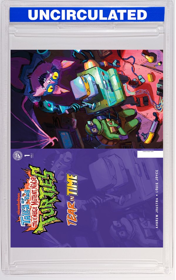 Tales Of The Teenage Mutant Ninja Turtles: Tear In Time #1 Variant RI (Chalky Wong Hobby Set Full 