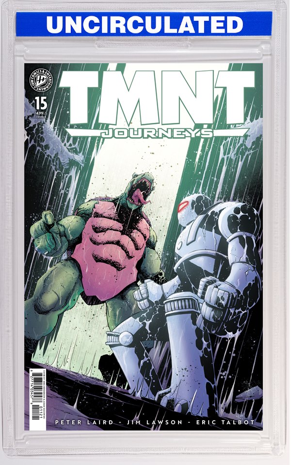 TMNT: Journeys #15 Variant B (Henderson)