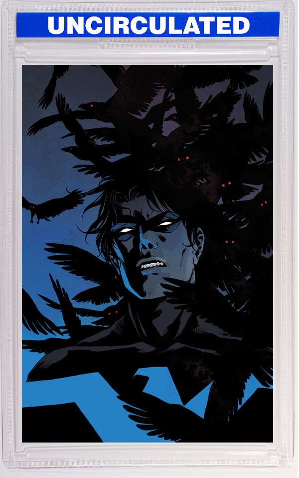 Nightwing #144 CVR C Becky Cloonan Card Stock VAR