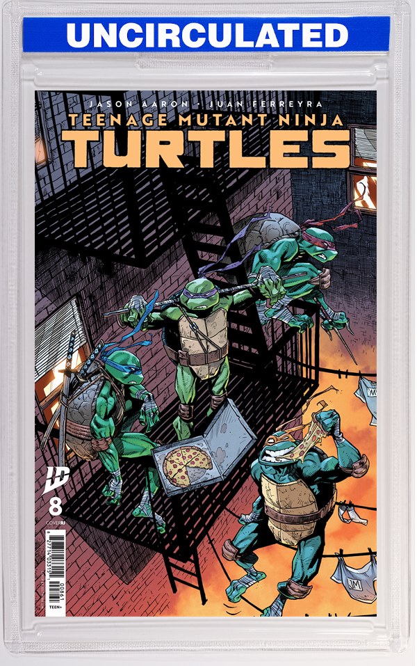 Teenage Mutant Ninja Turtles #8 Variant RI (Mason)