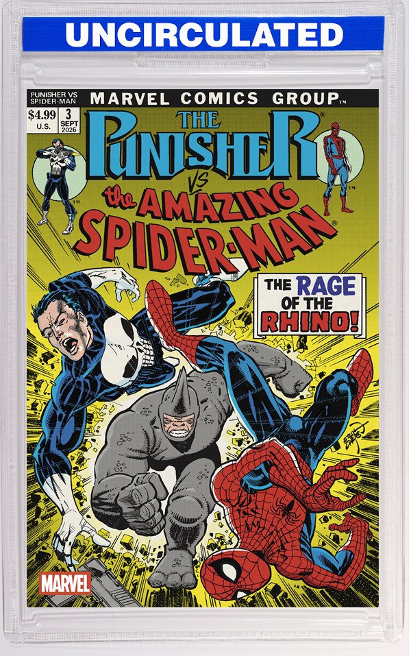 Punisher Vs Spider-Man #3 Erik Larsen Variant