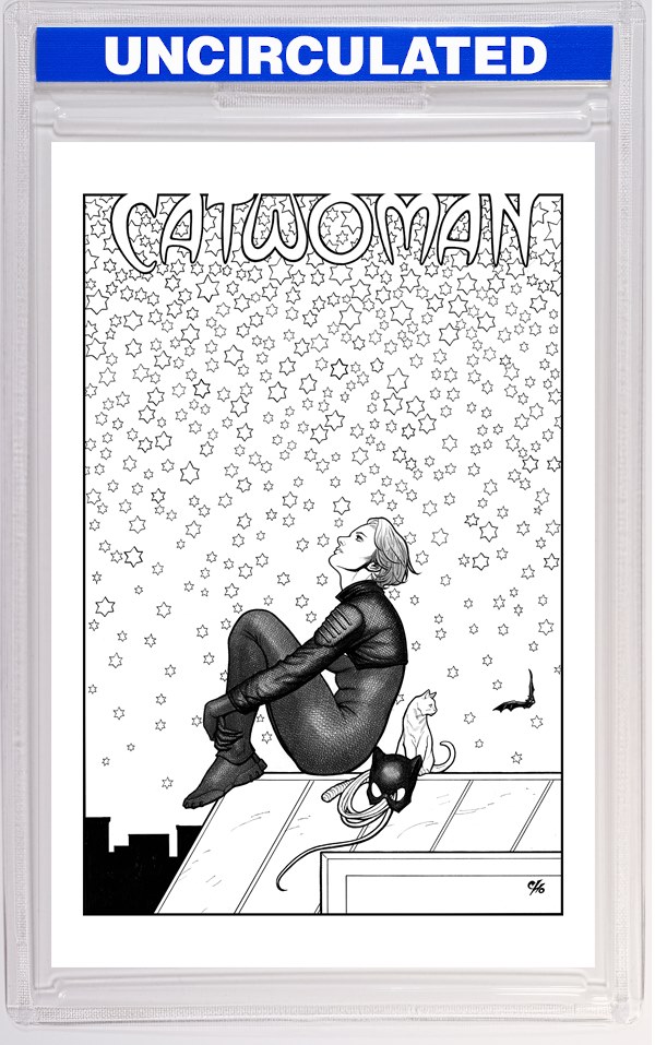 Catwoman #76 CVR E INC Frank Cho Card Stock VAR