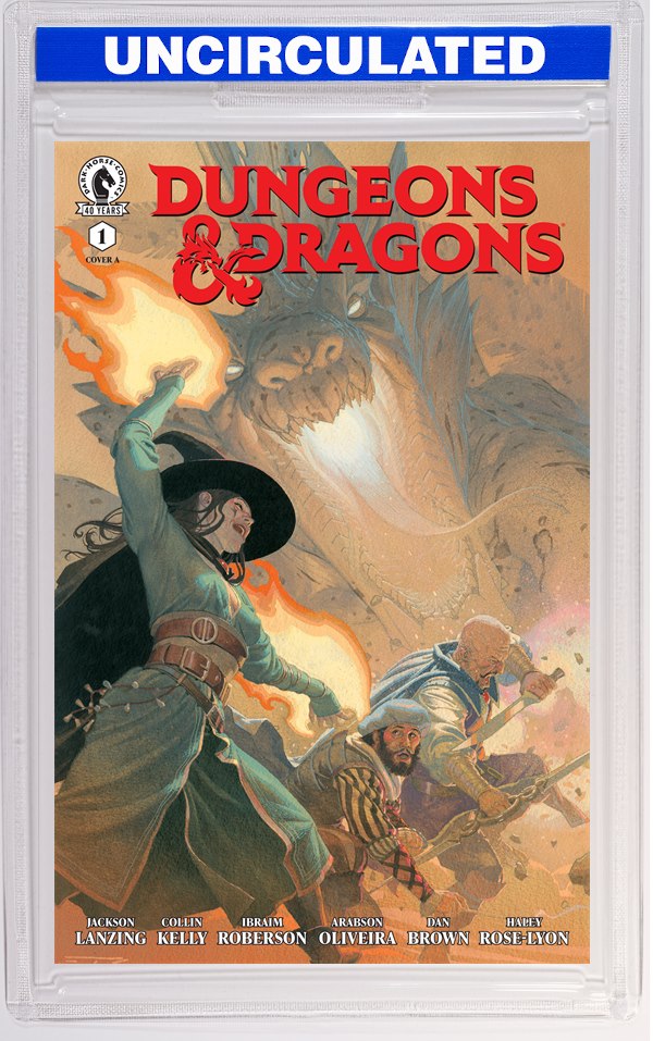 Dungeons & Dragons #1 (CVR A) (Esad Ribic)