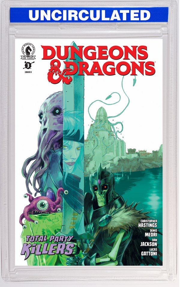 Dungeons & Dragons: Total Party Killers #3 (CVR B) (Fernando Blanco)