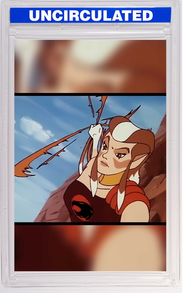 Thundercats X Silverhawks Thunderhawks #1 CVR K INC Animation Art Virgin VAR