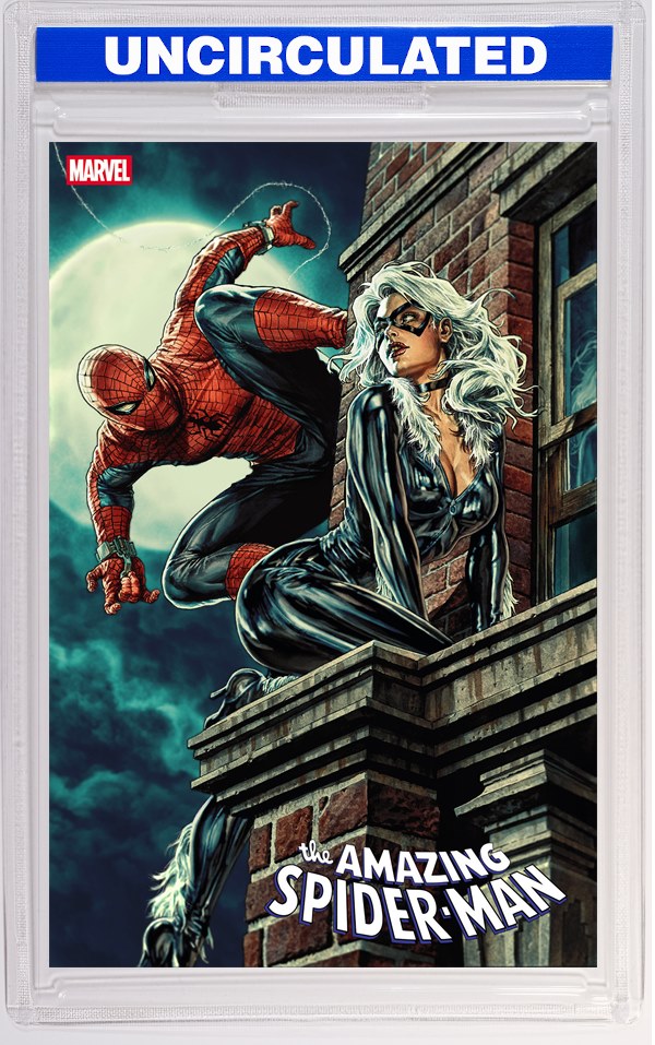 Amazing Spider-Man #7 Lee Bermejo Black Cat Variant
