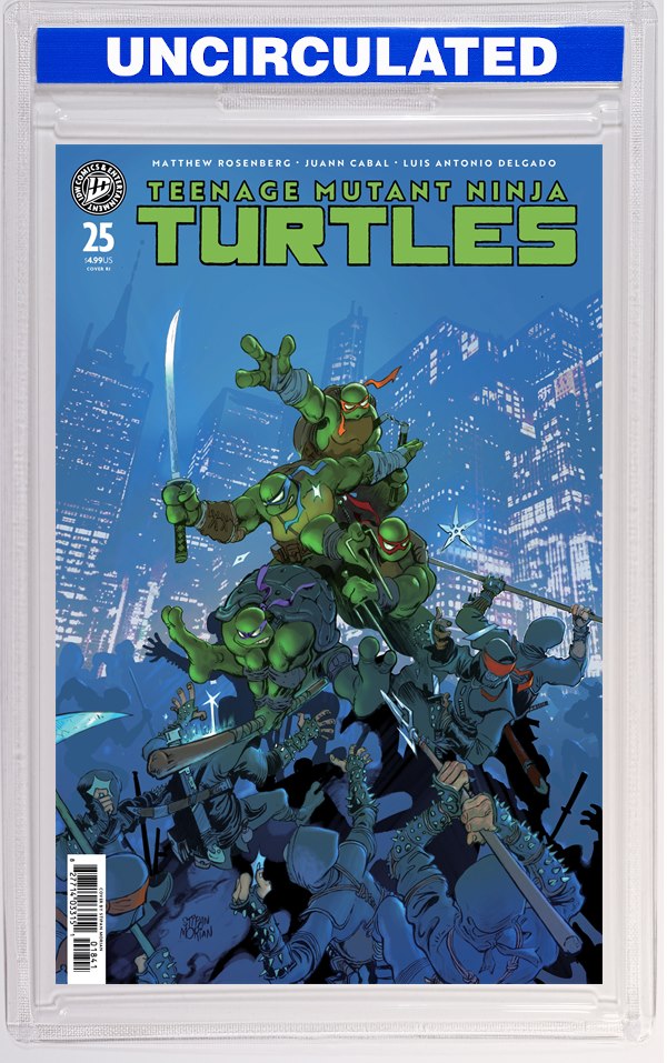 Teenage Mutant Ninja Turtles #25 Variant RI (Morian)