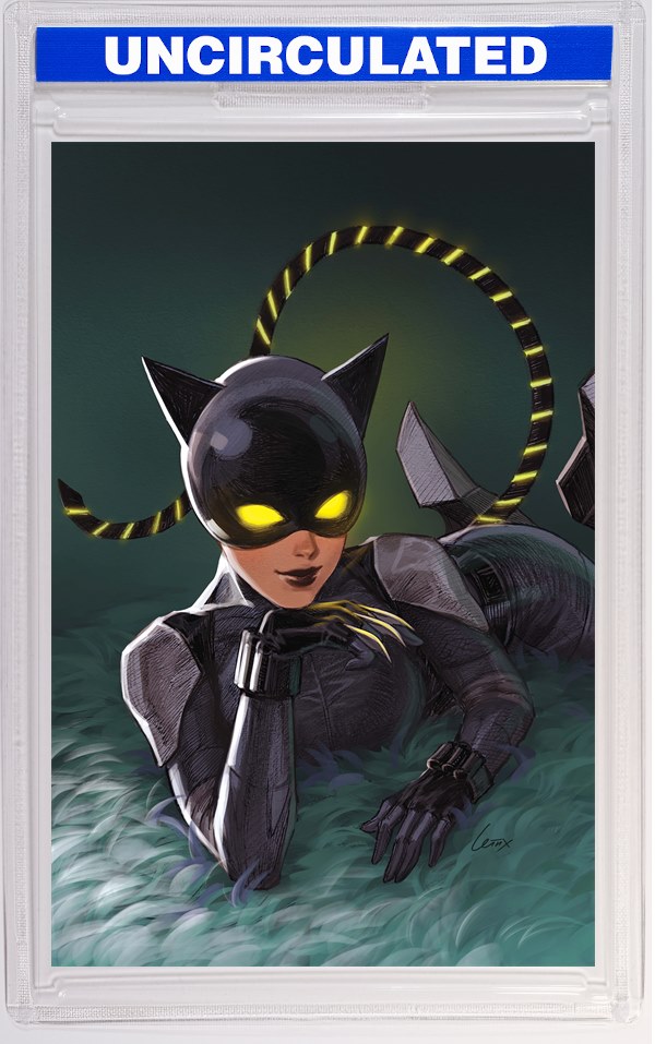 Absolute Catwoman #2 (Of 6) CVR B Lesley Leirix Li Card Stock VAR