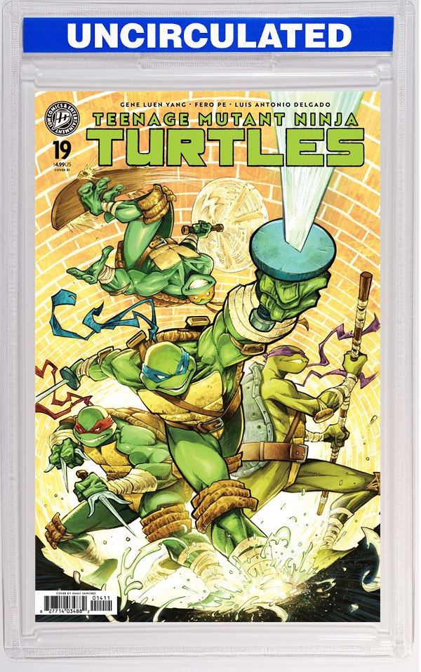 Teenage Mutant Ninja Turtles #19 Variant RI (González)