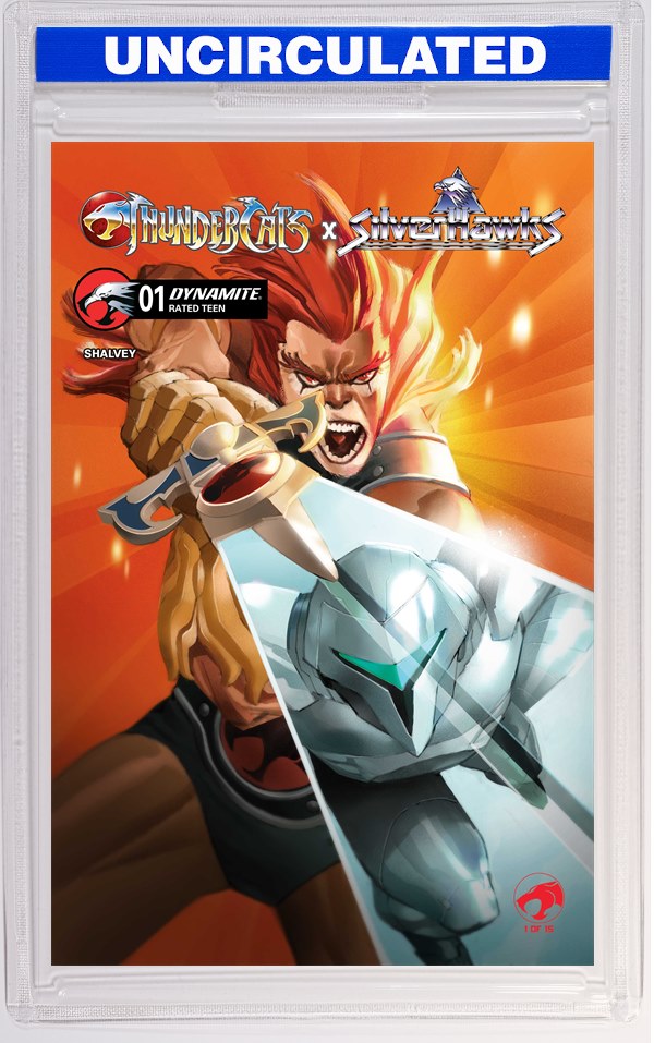 Thundercats X Silverhawks #1 CVR C Eric Canete VAR
