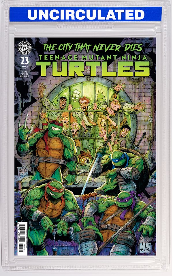 Teenage Mutant Ninja Turtles #23 Variant C (Ventura)