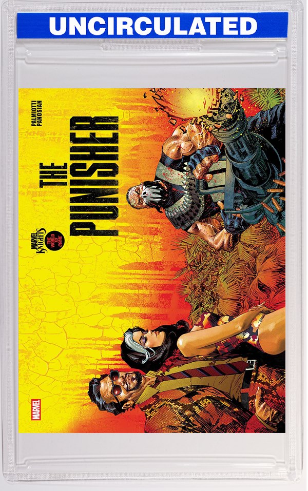 Marvel Knights: Punisher #3