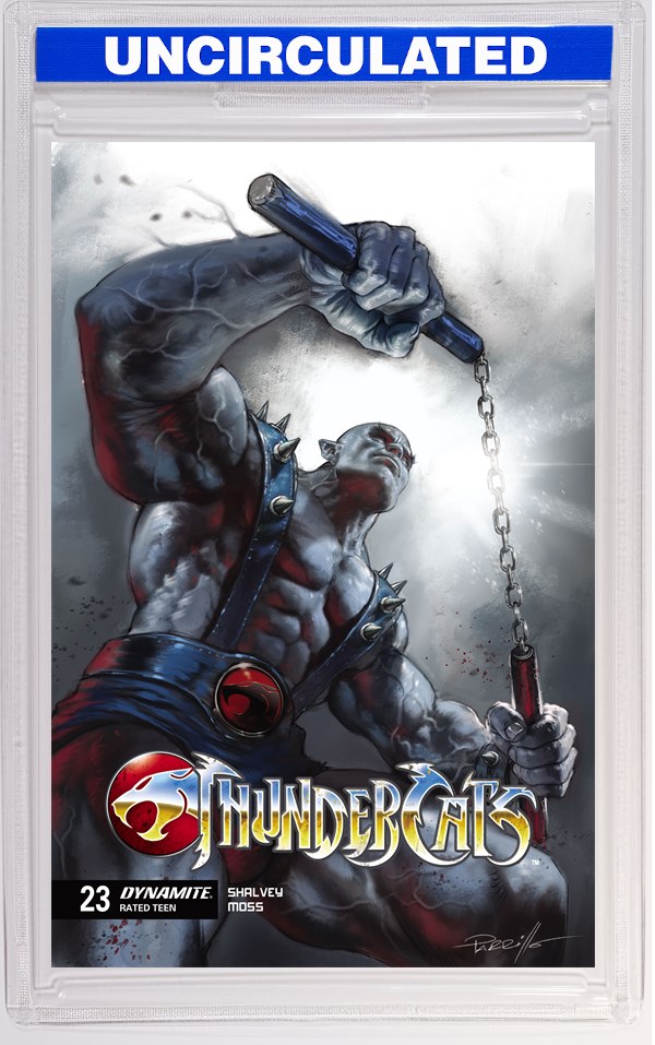 Thundercats #23 CVR A Lucio Parrillo