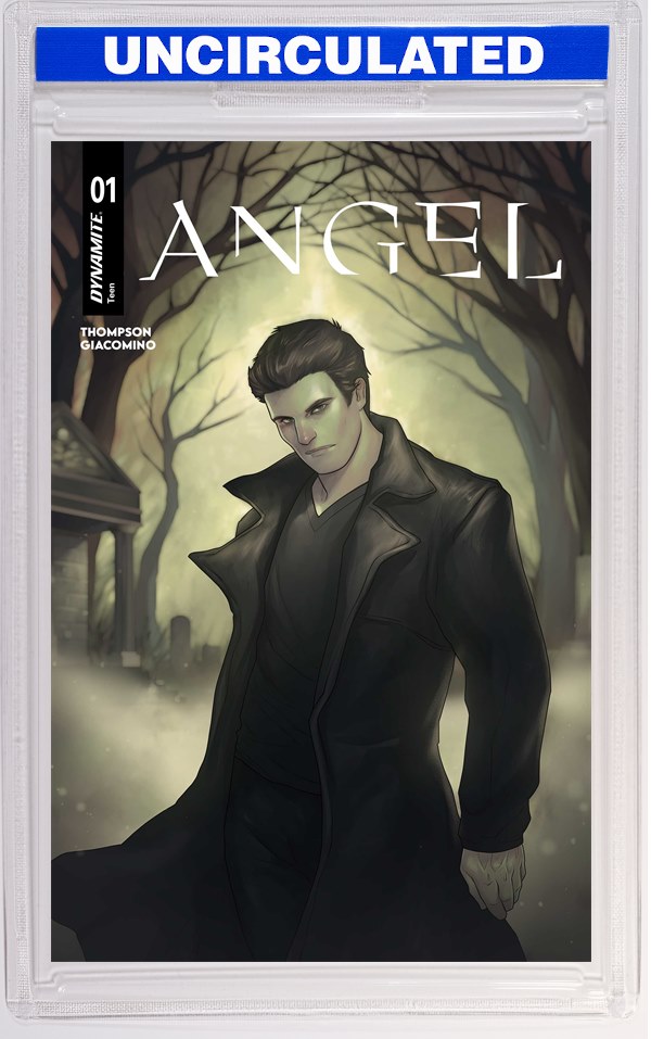 Angel #1 CVR N INC Meghan Hetrick Foil VAR