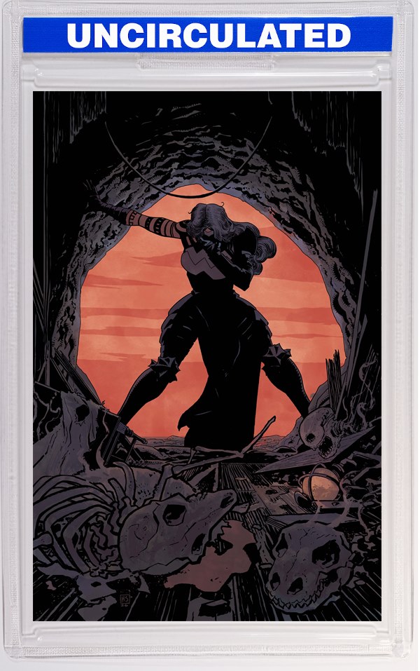 Absolute Wonder Woman #21 CVR A Hayden Sherman