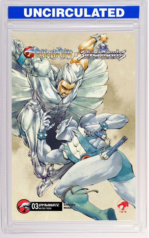 Thundercats X Silverhawks #3 CVR D Chuma Hill VAR