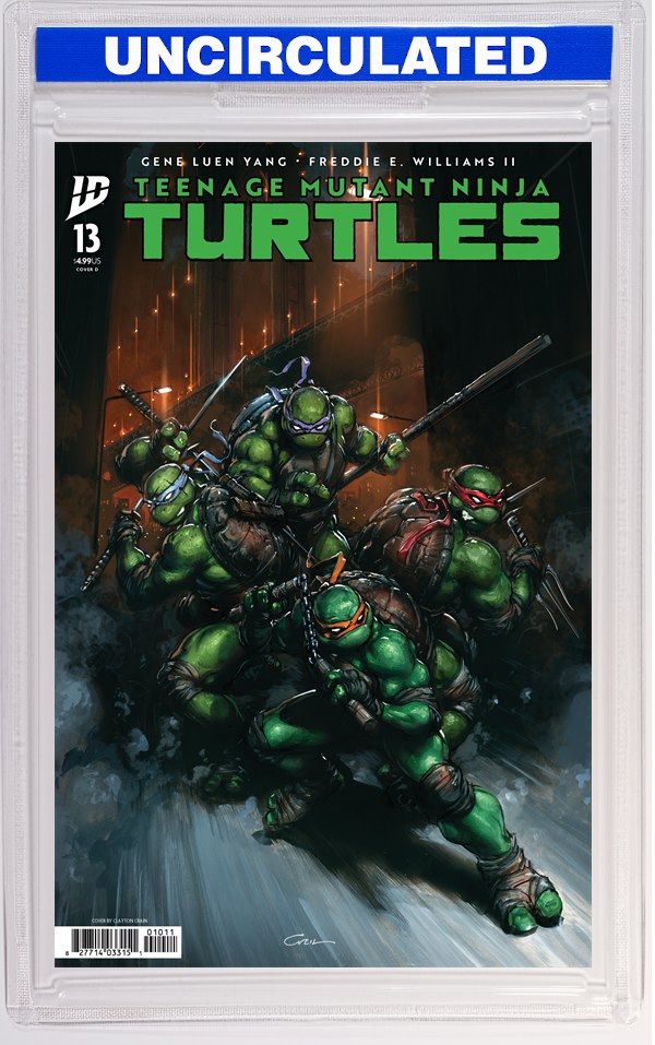 Teenage Mutant Ninja Turtles #13 Variant D (Crain)
