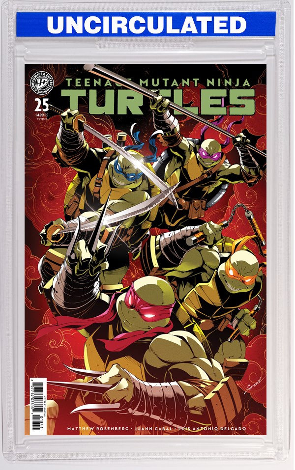 Teenage Mutant Ninja Turtles #25 Variant B (Godtail Cover Set)