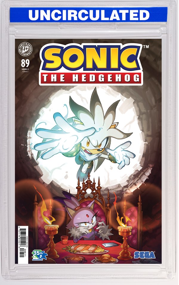 Sonic The Hedgehog #89 Cover A (Arq)