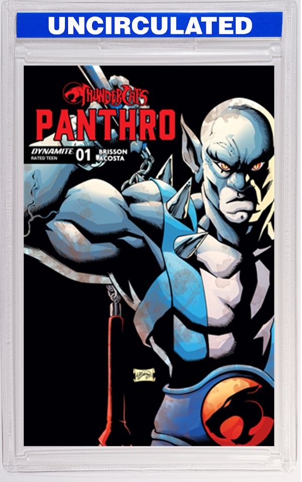 Thundercats Panthro #1 CVR D Will Robson VAR