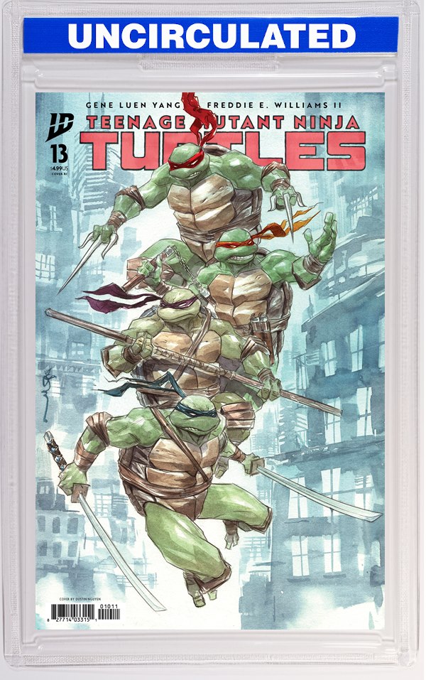 Teenage Mutant Ninja Turtles #13 Variant RI (Nguyen)