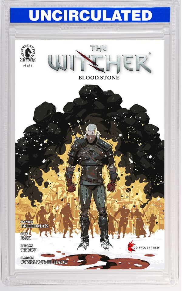 The Witcher: Blood Stone #3 (CVR A) (Pius Bak)