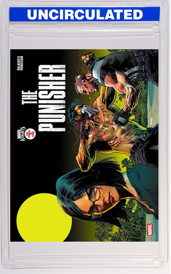 Marvel Knights: Punisher #2