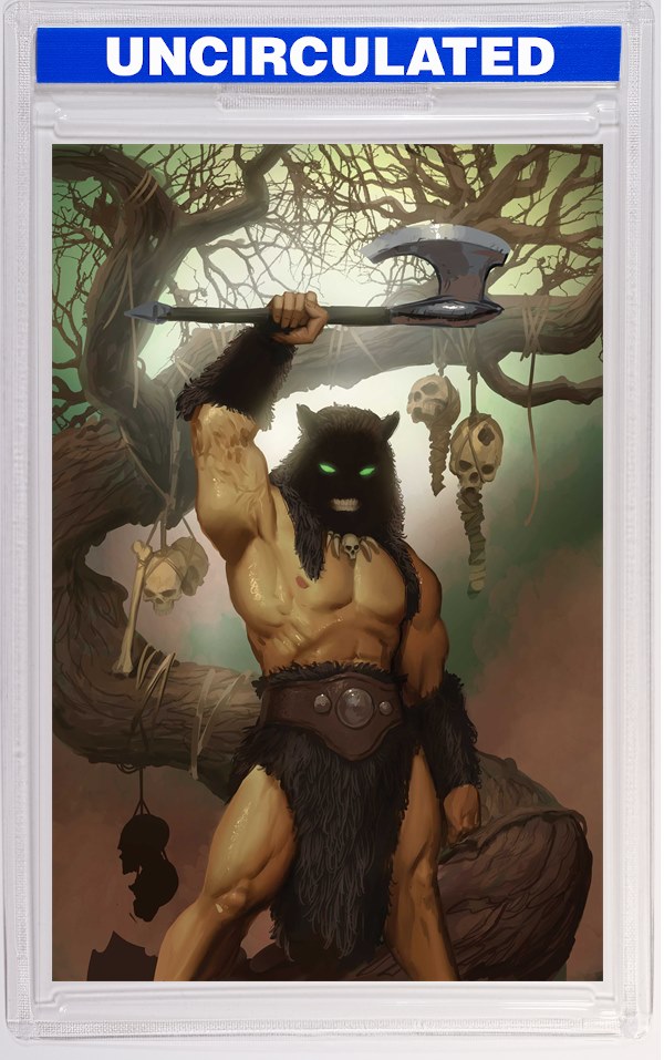Fire And Ice Darkwolf #3 CVR J INC Stjepan Sejic Virgin VAR