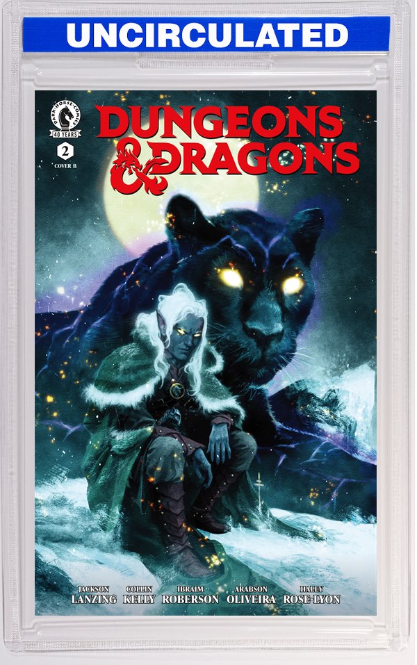 Dungeons & Dragons #2 (CVR B) (Sebastian Fiumara)