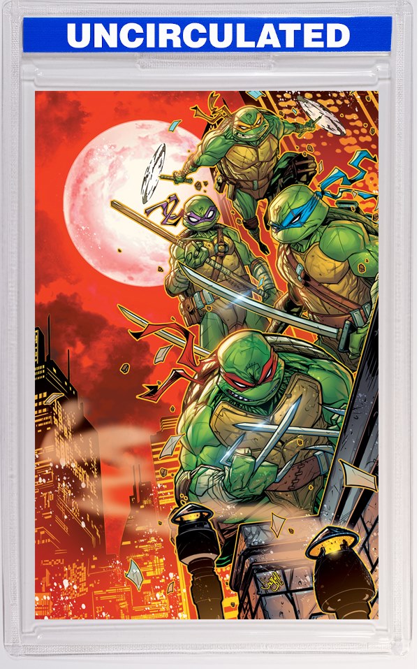 Teenage Mutant Ninja Turtles #12 Variant RI (Meyers Full Art)