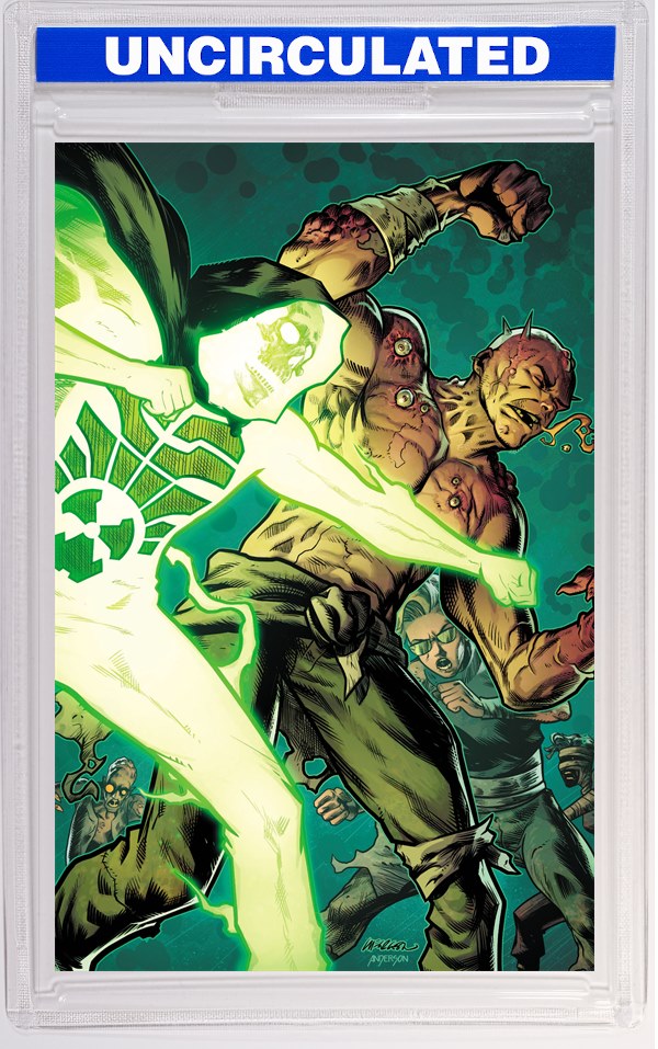 Geiger #23 CVR C Lee Ferguson & Brad Anderson VAR