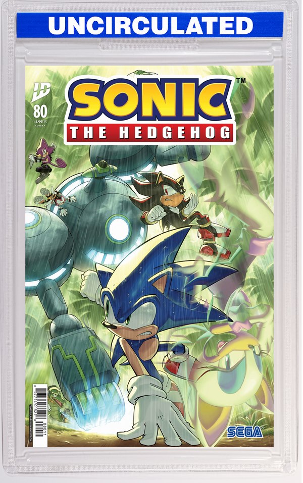 Sonic The Hedgehog #80 Cover A (Hammerstrom)
