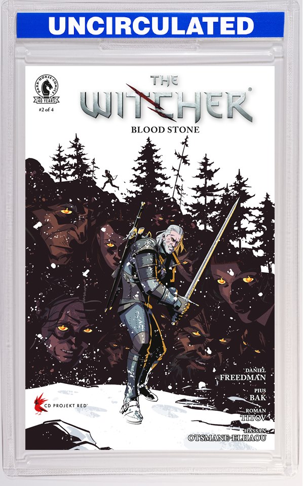 The Witcher: Blood Stone #2 (CVR A) (Pius Bak)