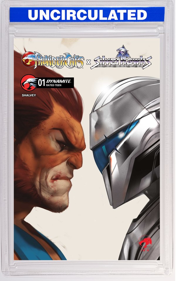 Thundercats X Silverhawks #1 CVR D Ben Oliver VAR