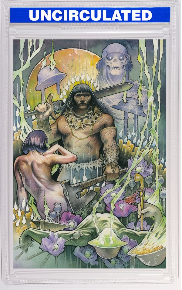Conan The Barbarian Tides Of The Tyrant King #3 (Of 4) CVR F John Baizley Virgin Cardstock VAR (MR)
