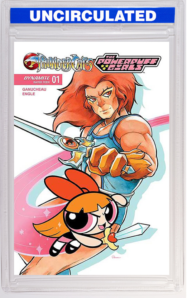 Thundercats Powerpuff Girls #1 CVR D Saowee VAR